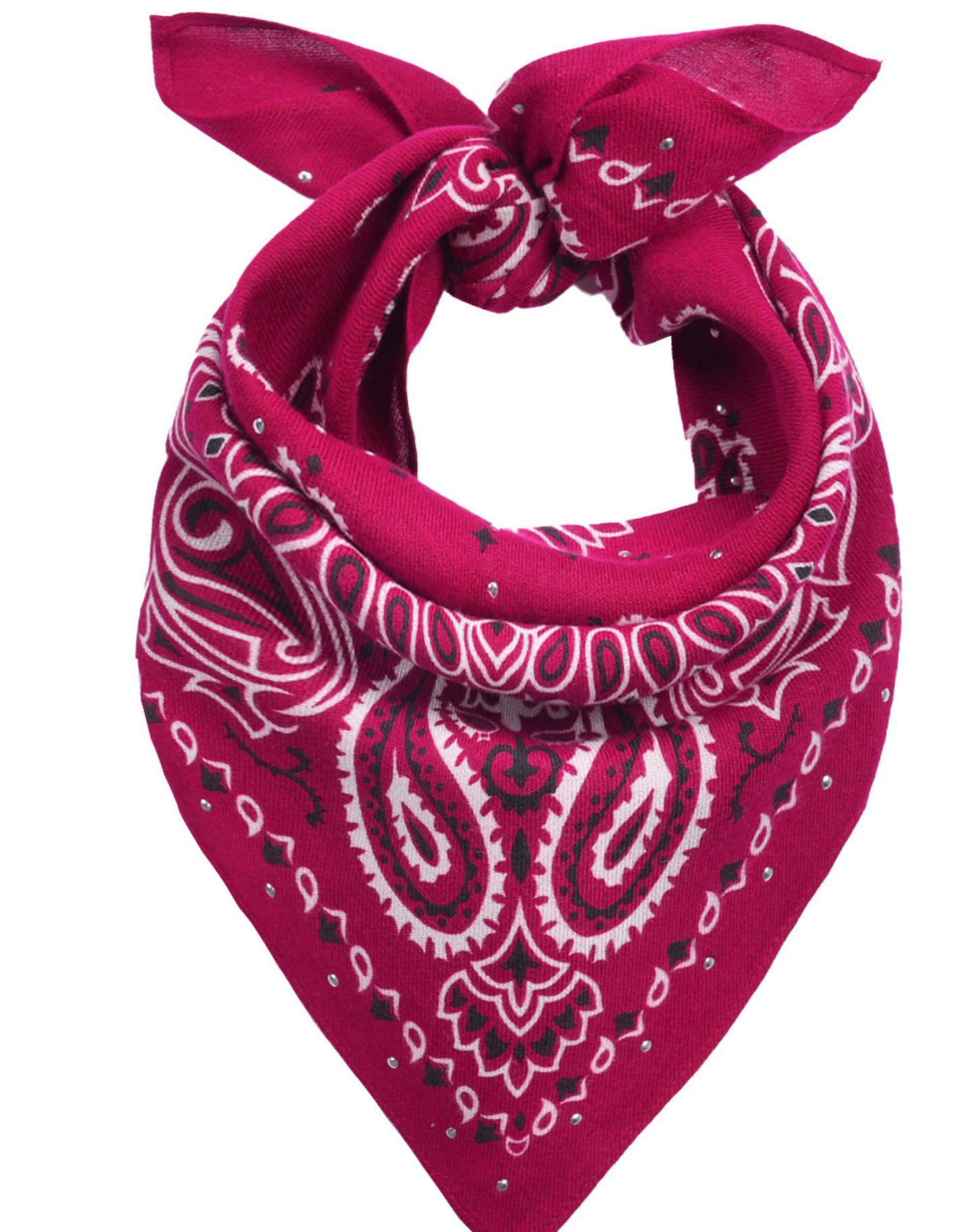 WILD-MINI FOULARD PAISLEY